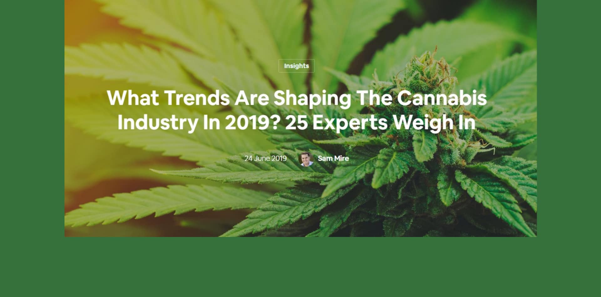 What Trends Are Shaping The Cannabis Industry In 2019? 25 Experts Weigh In